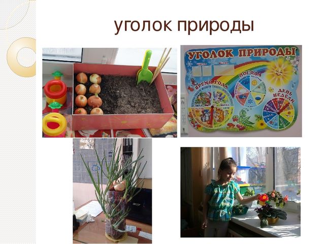 Детский сад №186 Подготовительная группа «Ромашки» Воспитатель Косенкова О.А.