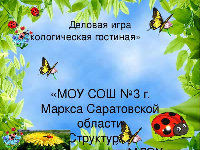 Презентация деловая игра "Экологическая гостиная"