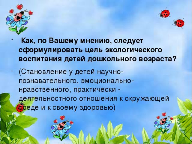 Презентация деловая игра "Экологическая гостиная"