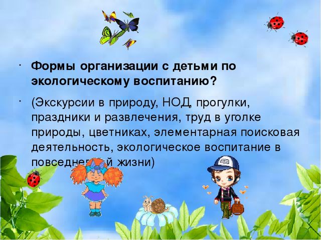 Презентация деловая игра "Экологическая гостиная"