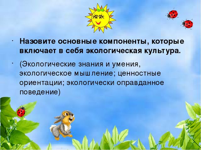 Презентация деловая игра "Экологическая гостиная"