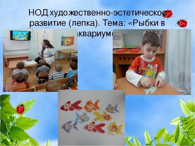 Презентация деловая игра "Экологическая гостиная"