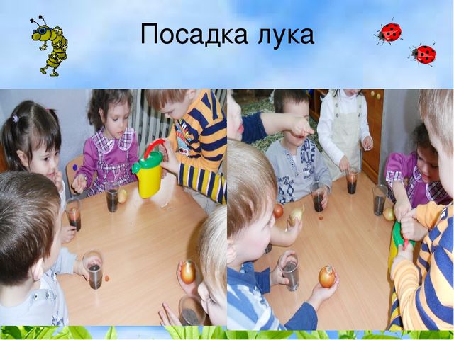 Презентация деловая игра "Экологическая гостиная"