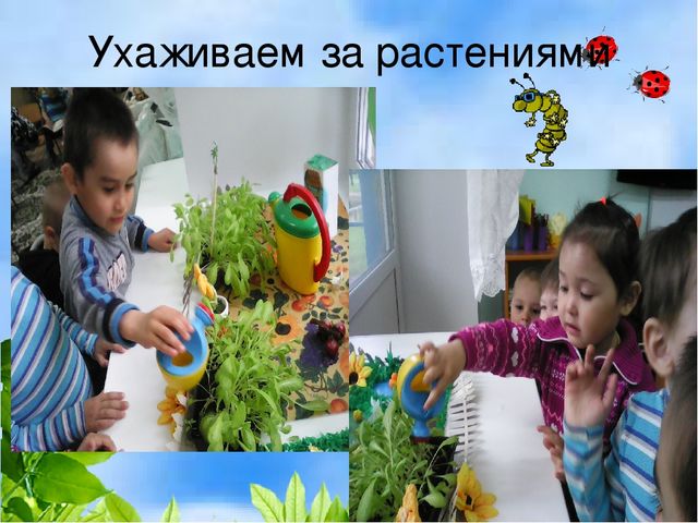 Презентация деловая игра "Экологическая гостиная"