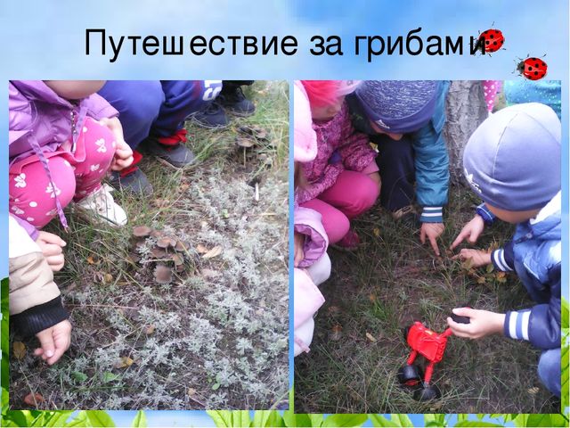 Презентация деловая игра "Экологическая гостиная"