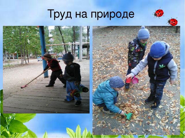 Презентация деловая игра "Экологическая гостиная"