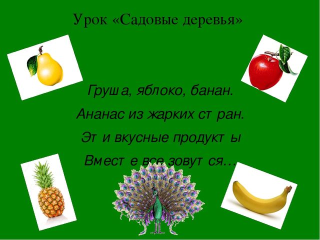 Преемственность Зелёная тропинка урок 5