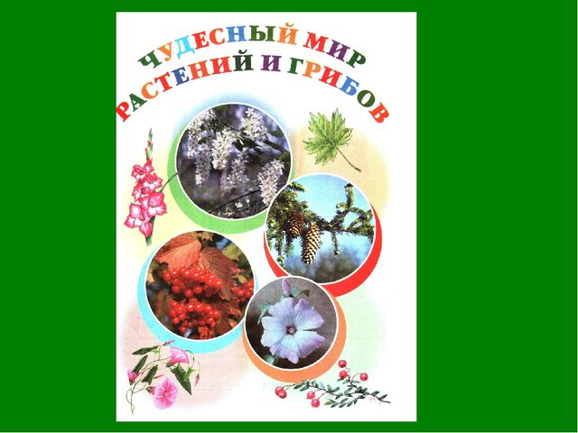 Зеленая тропинка урок 3