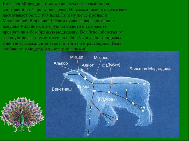 Грот медведица текст. Ковш большая Медведица. Созвездие ковш большой медведицы. Почему ковш большой медведицы так называется. Почему большая Медведица.
