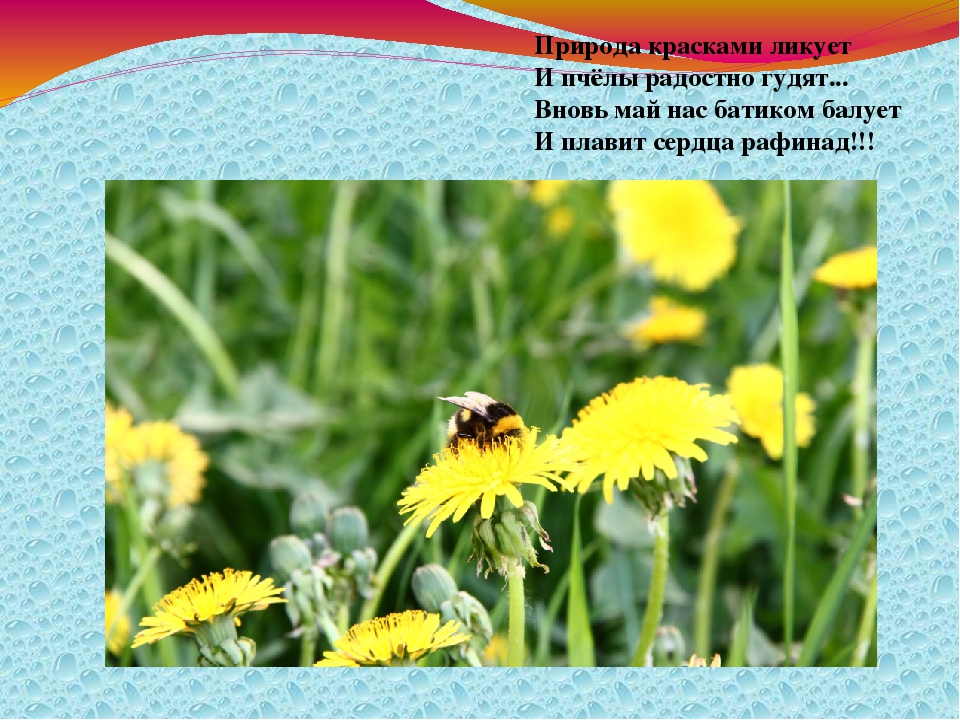 Презентация "Весна" группа раннего возраста