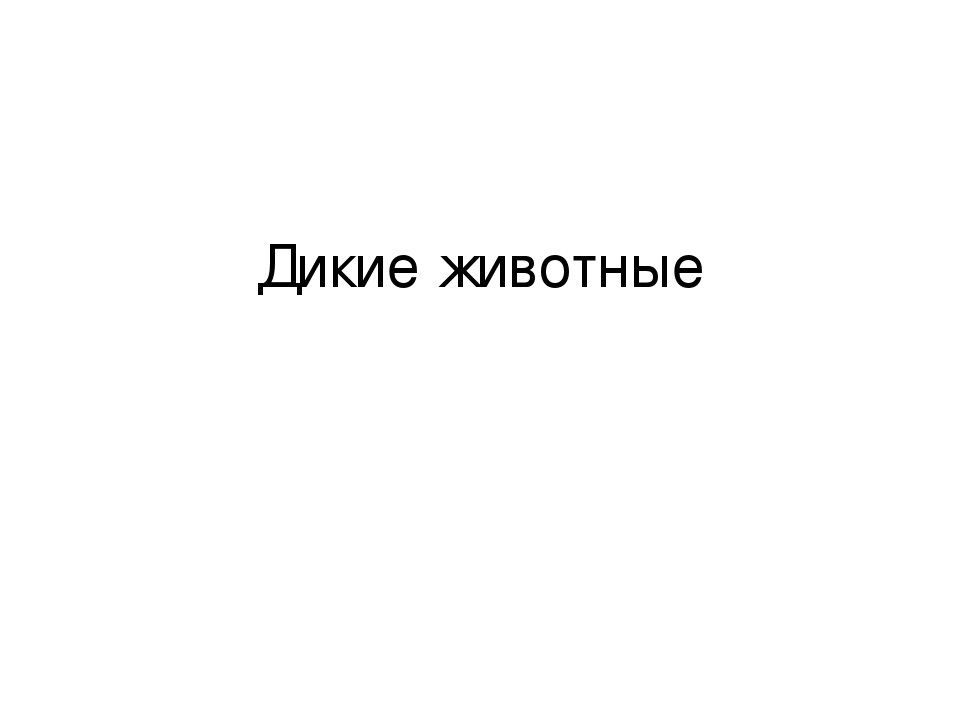 Презентация на тему "Дикие животные"
