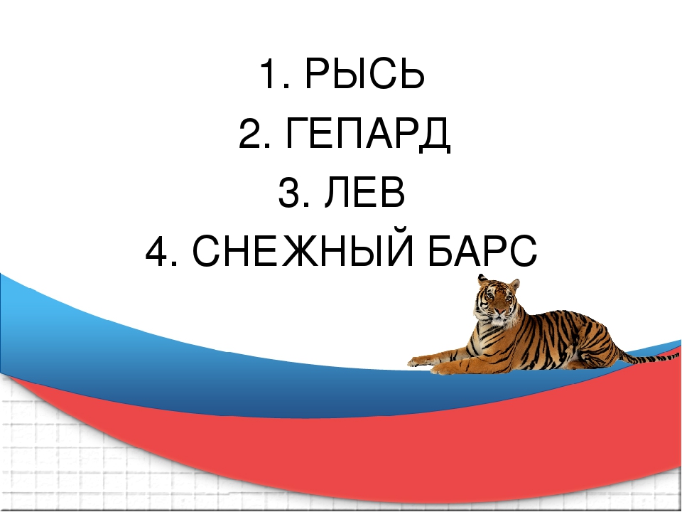 Презентация к викторине "Что Вы знаете о тиграх"