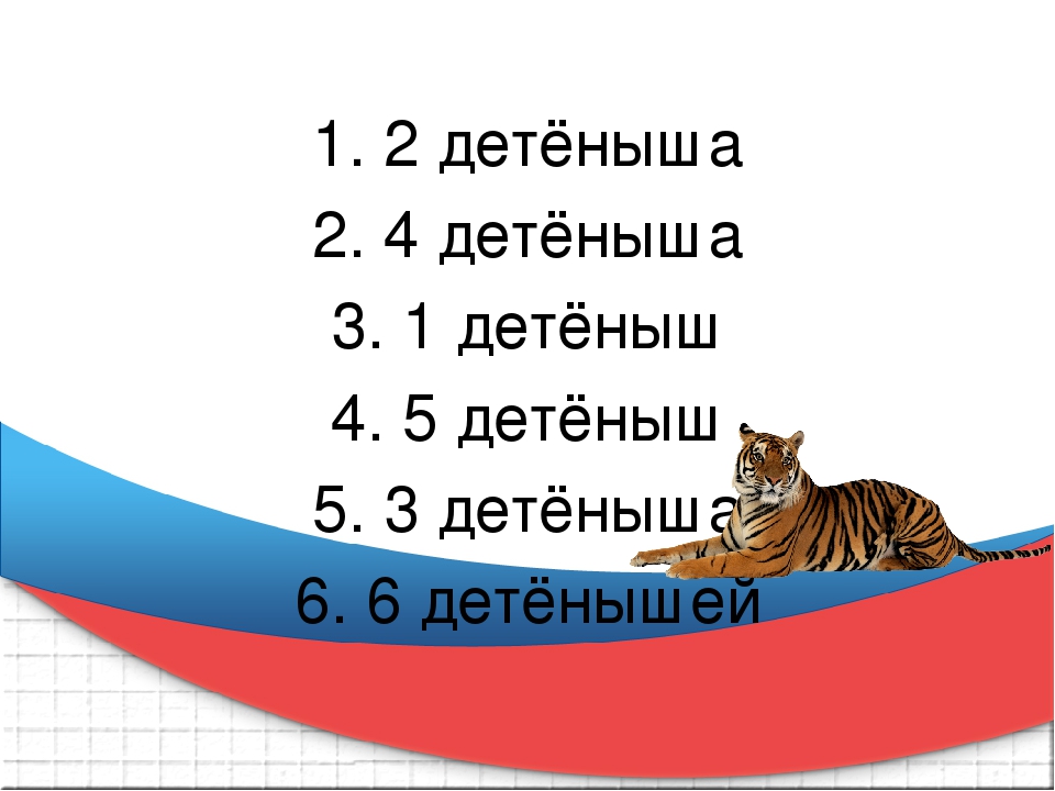 Презентация к викторине "Что Вы знаете о тиграх"