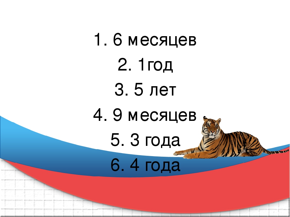 Презентация к викторине "Что Вы знаете о тиграх"
