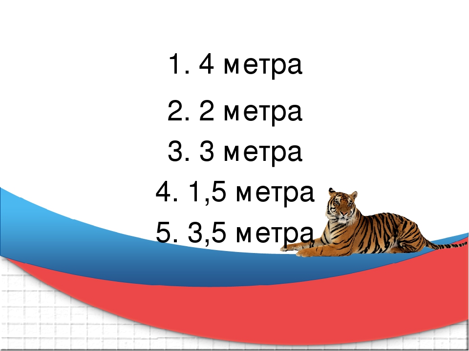Презентация к викторине "Что Вы знаете о тиграх"
