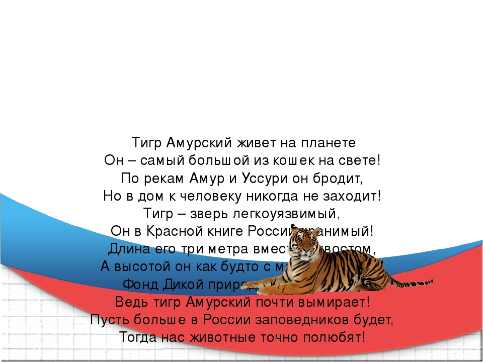 Презентация к викторине "Что Вы знаете о тиграх"