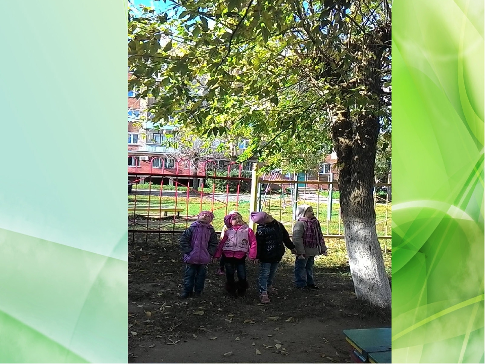 Консультация для родителей "Развитие речи в ДОУ".