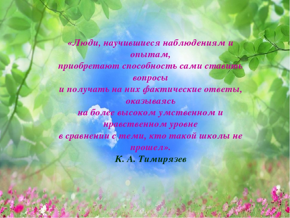 Консультация для воспитателей "Опытно-экспериментальная деятельность на прогулке"