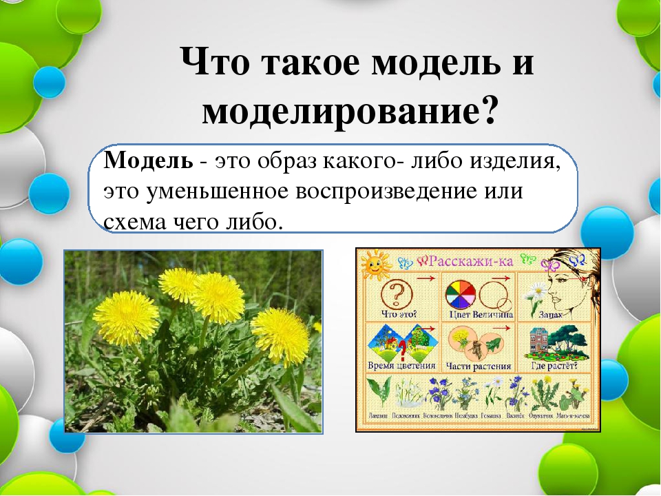 Моделирование в экологическом воспитании дошкольников.