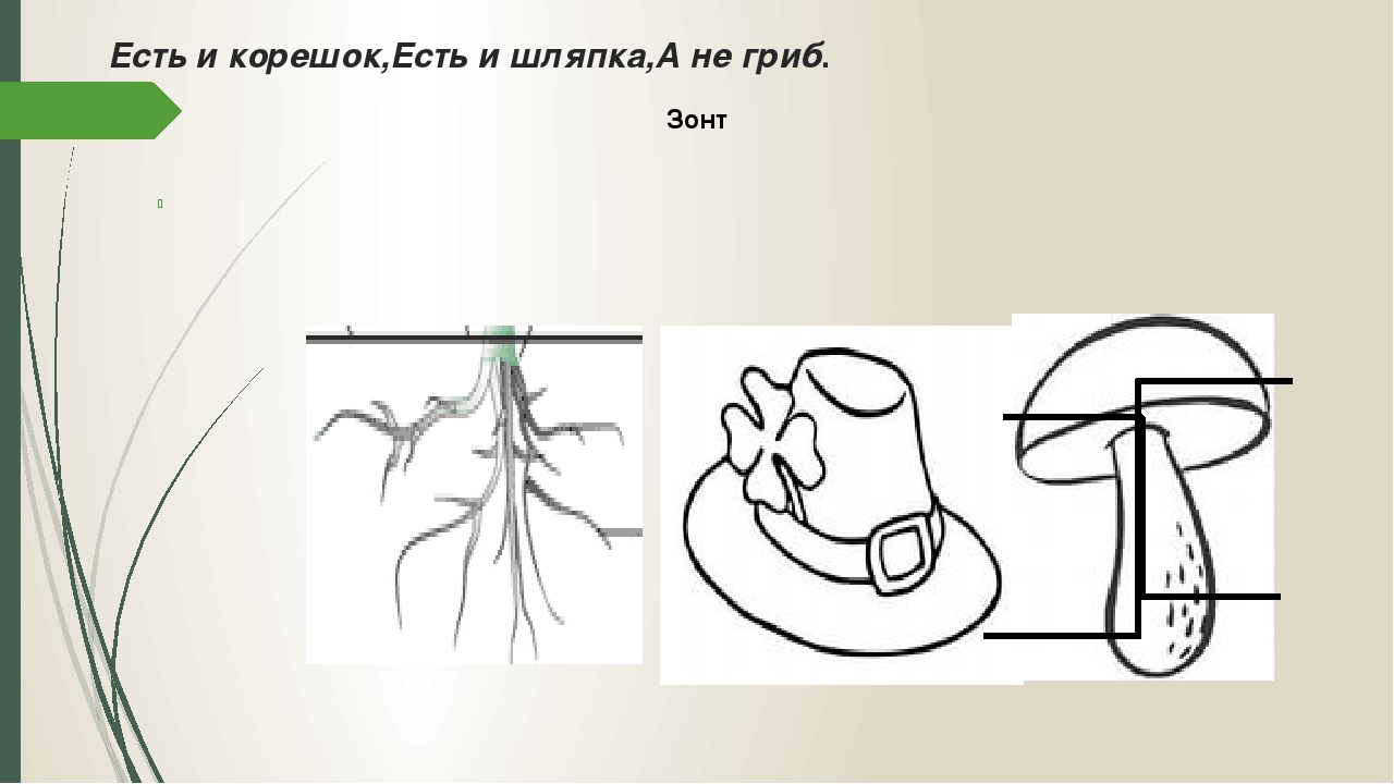Презентация " Применение мнемотехники для речевого развития детей"