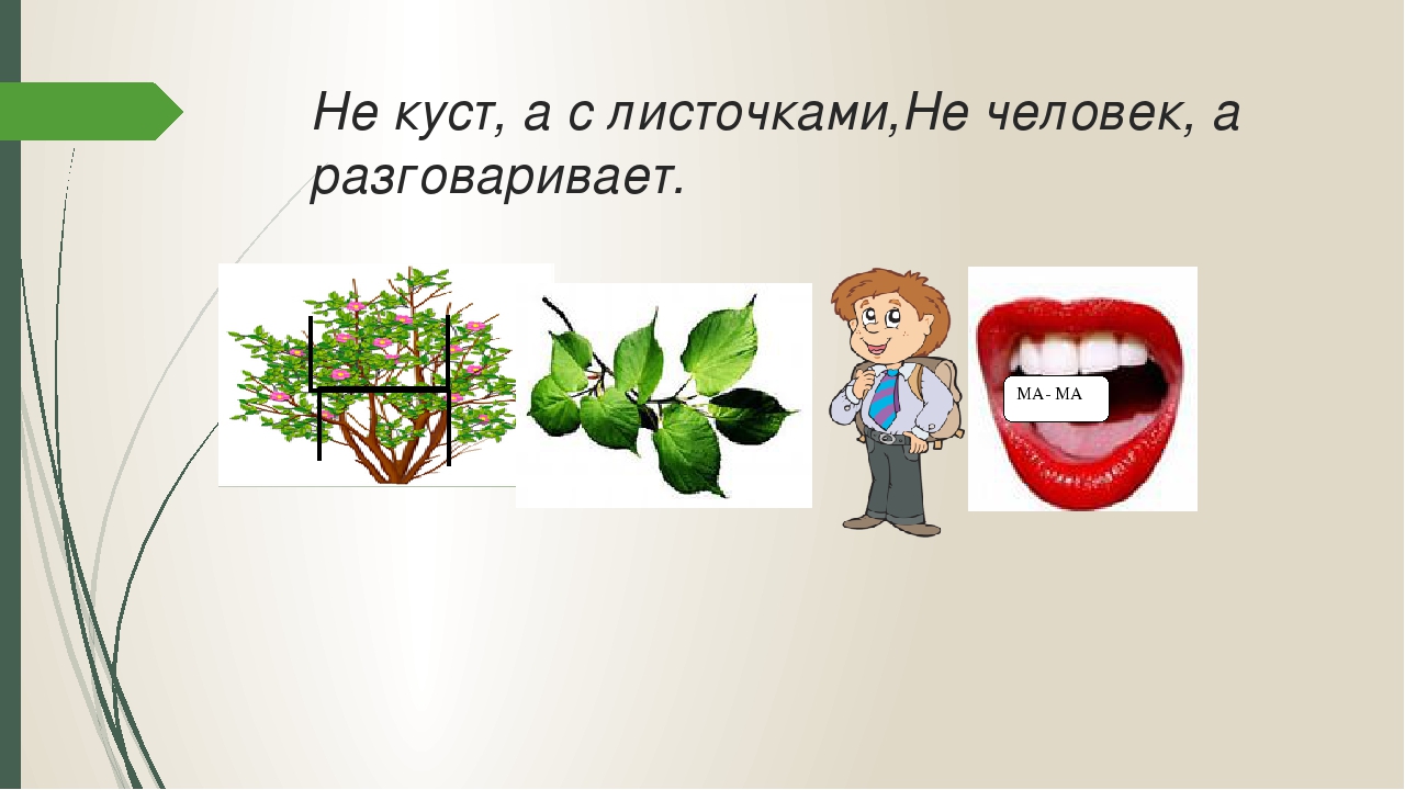 Не куст а с листочками. Загадка не куст а с листочками не рубашка а сшита мнемотаблица. Не человек а рассказывает загадка куст с листочками. Отгадай загадку не куст а с листочками.