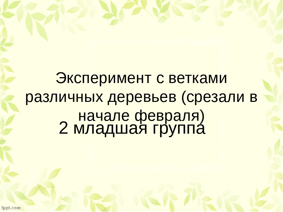 Презентация:опыты во 2младшей группе - весна в нашей группе в феврале.