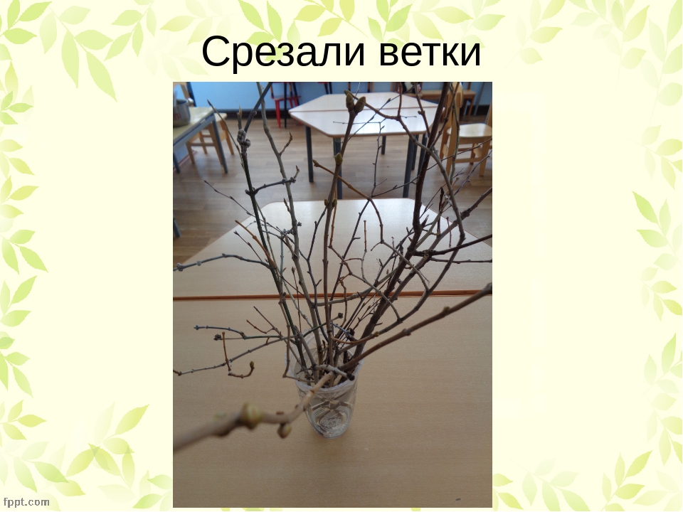 Презентация:опыты во 2младшей группе - весна в нашей группе в феврале.