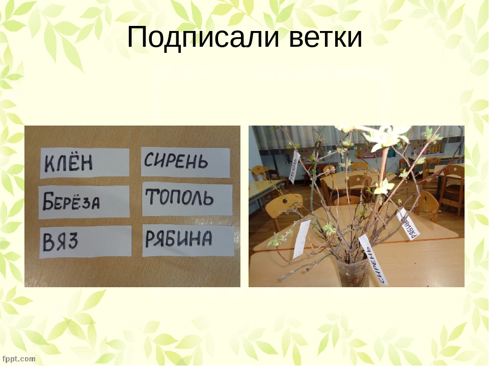Презентация:опыты во 2младшей группе - весна в нашей группе в феврале.