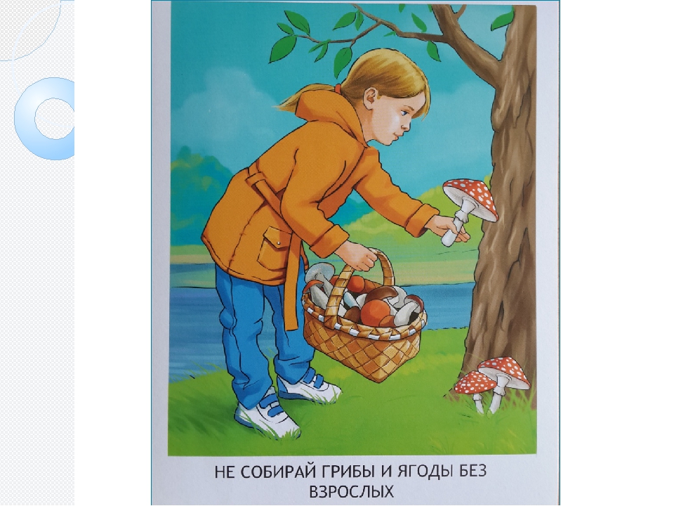 Презентация "Безопасность на улице и дома"