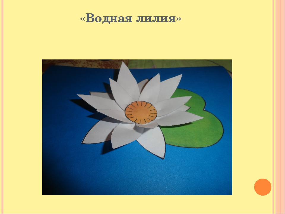 Презентация кружка Бумажная фантазия