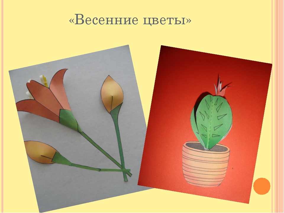 Презентация кружка Бумажная фантазия