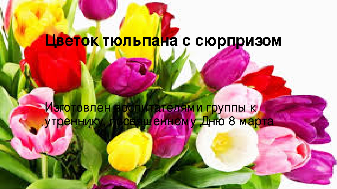 Презентация:изготовление цветка тюльпана с сюрпризом (конфетой) внутри.