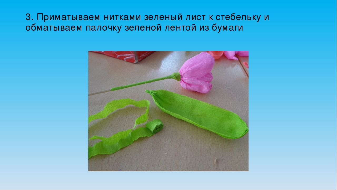Презентация:изготовление цветка тюльпана с сюрпризом (конфетой) внутри.