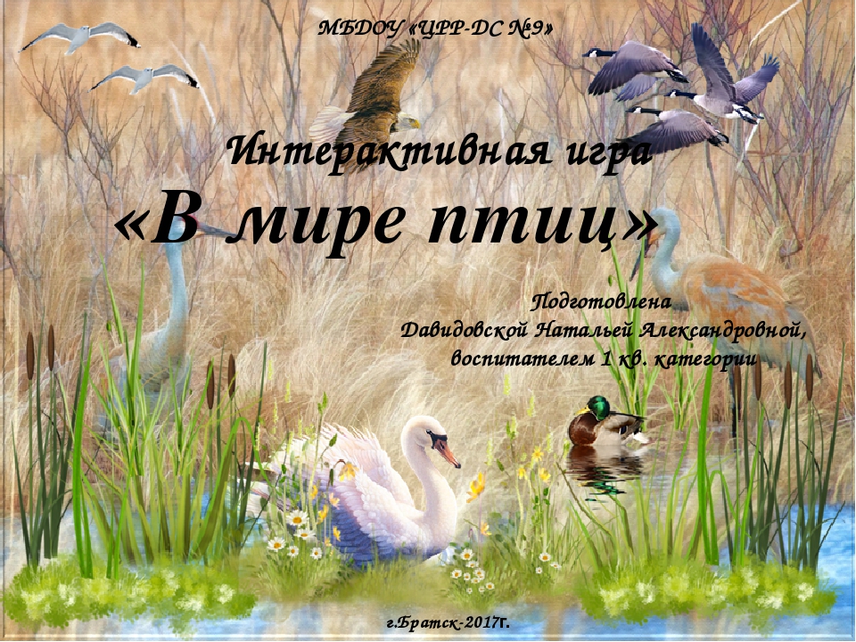 Интерактивная игра "В мире птиц"