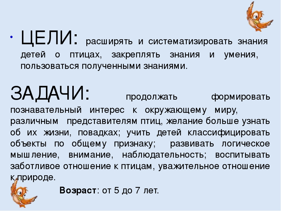 Интерактивная игра "В мире птиц"