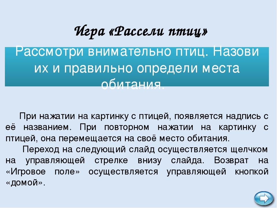Интерактивная игра "В мире птиц"