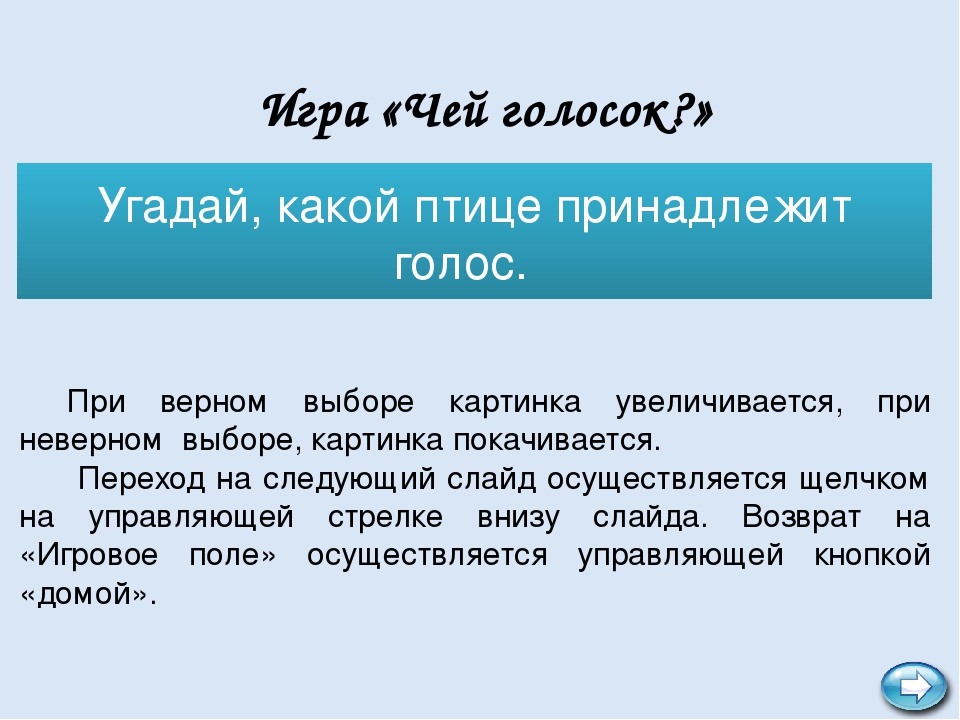 Интерактивная игра "В мире птиц"