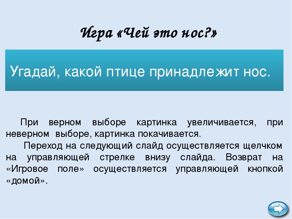 Интерактивная игра "В мире птиц"