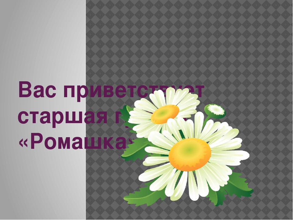 Презентация Визитная карточка группы "РОМАШКА"