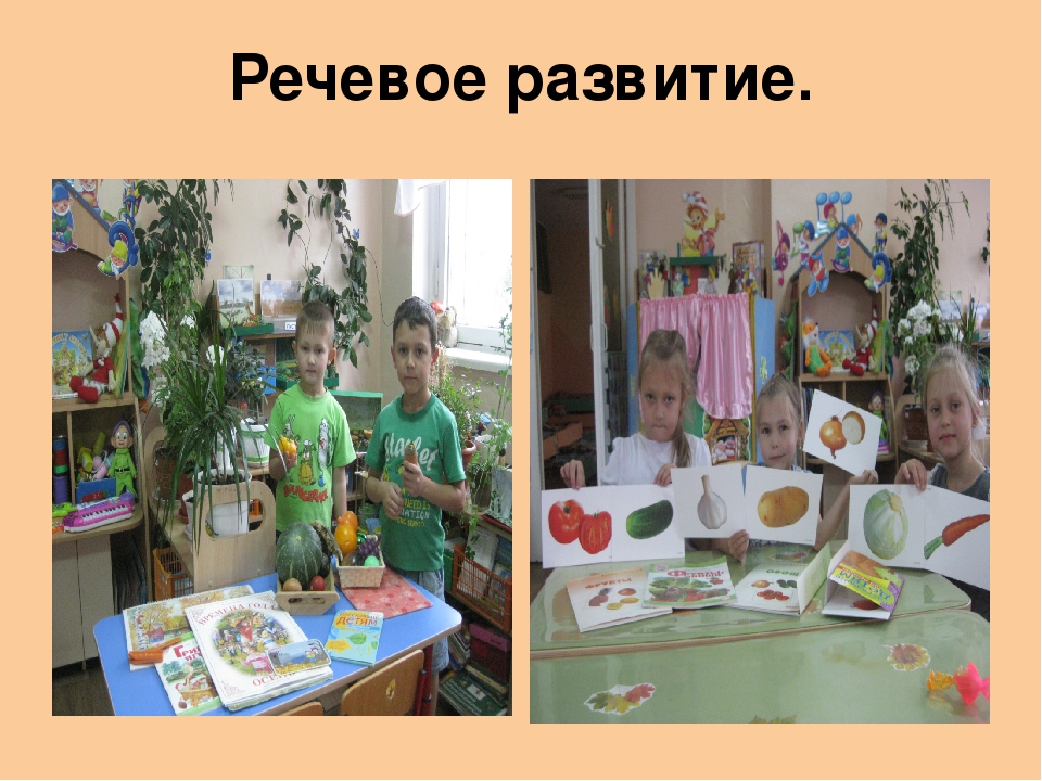 Проект "Овощи - наши верные друзья"