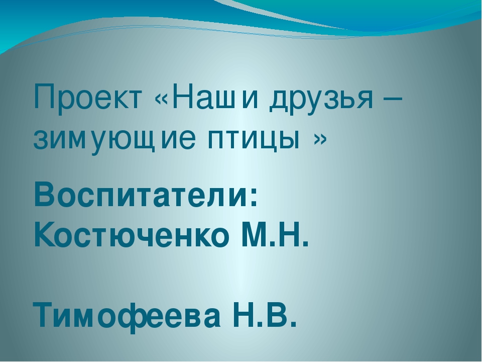 Презентация проекта "Наши друзья - зимующие птицы"