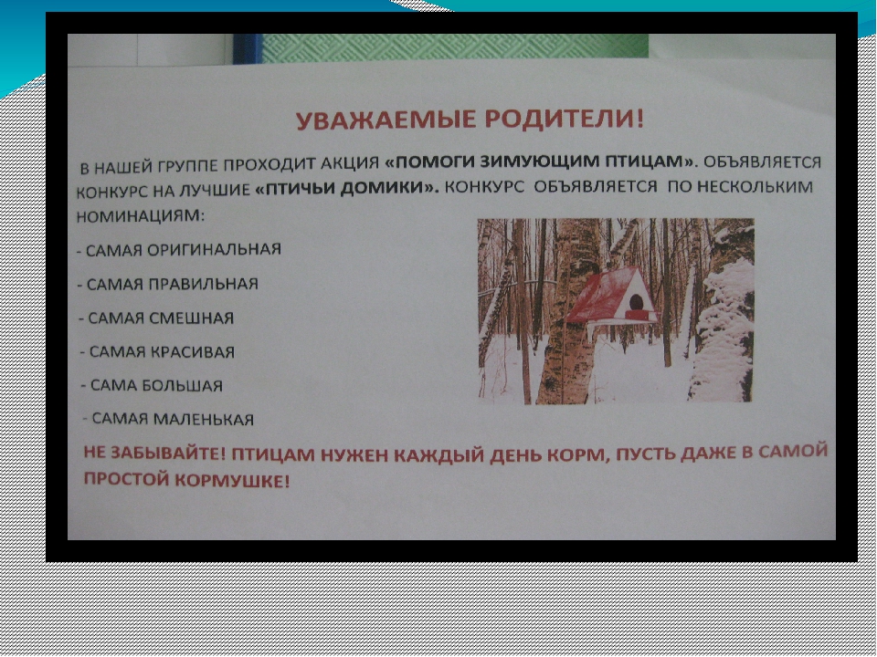 Презентация проекта "Наши друзья - зимующие птицы"