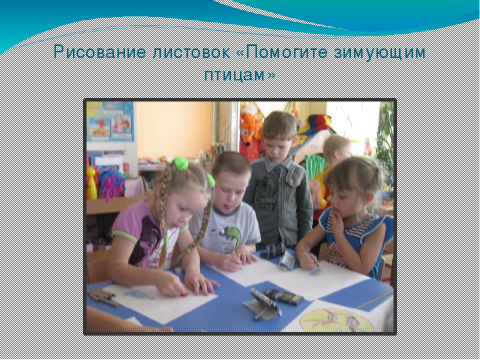 Презентация проекта "Наши друзья - зимующие птицы"
