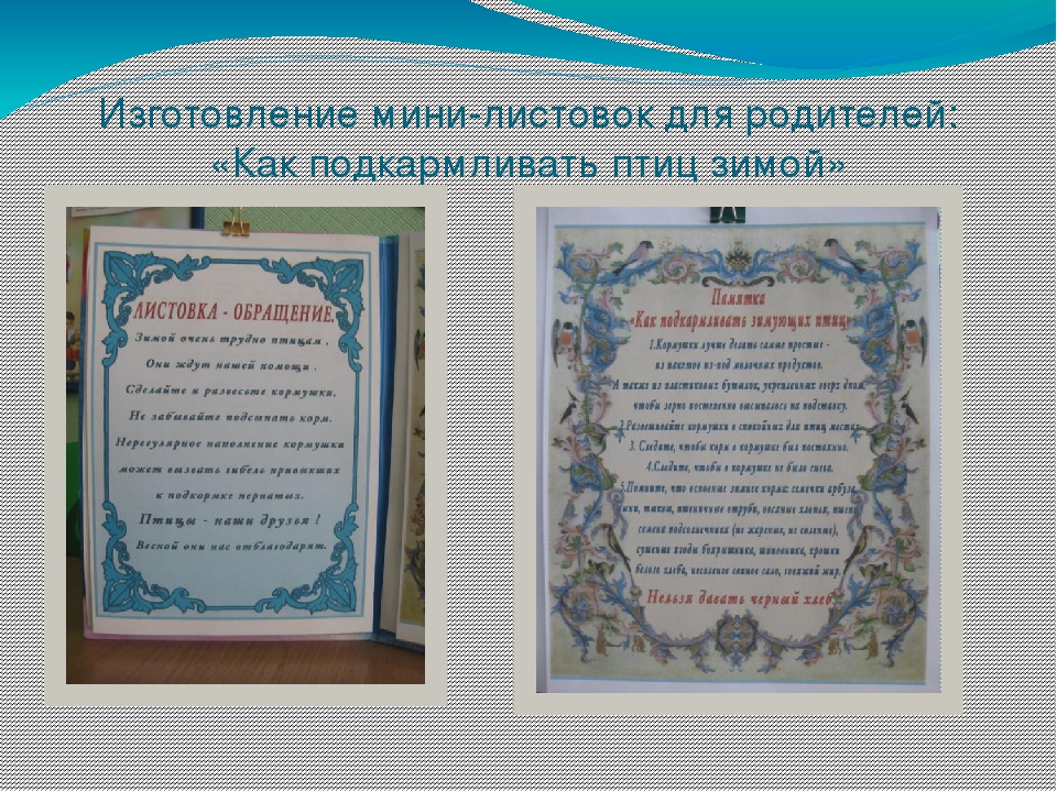 Презентация проекта "Наши друзья - зимующие птицы"
