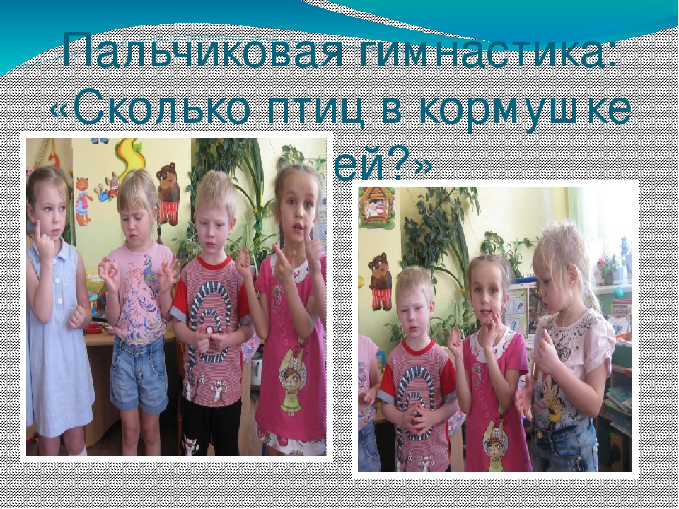 Презентация проекта "Наши друзья - зимующие птицы"