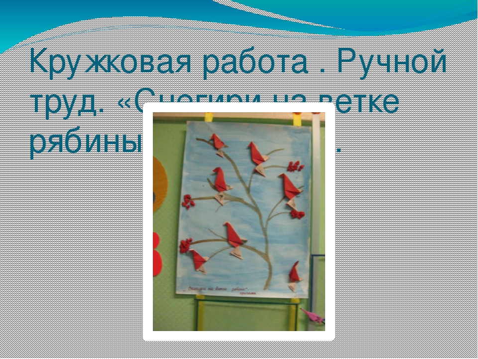 Презентация проекта "Наши друзья - зимующие птицы"