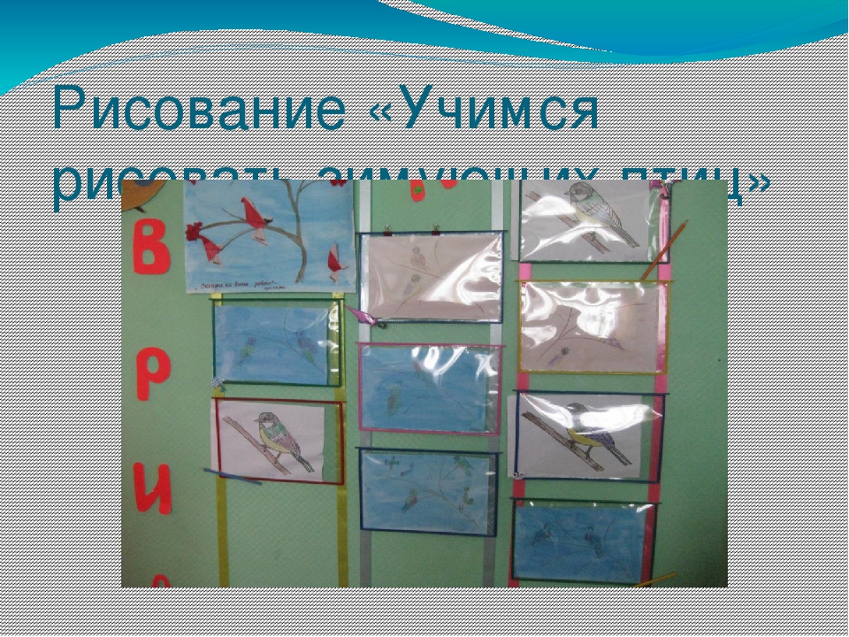 Презентация проекта "Наши друзья - зимующие птицы"