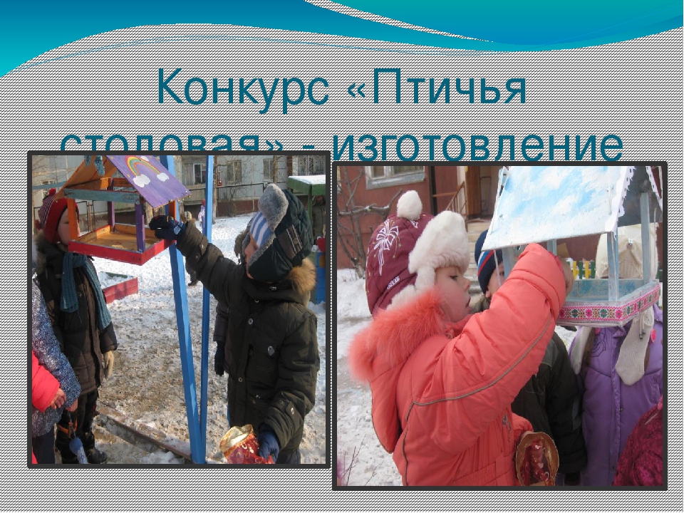 Презентация проекта "Наши друзья - зимующие птицы"