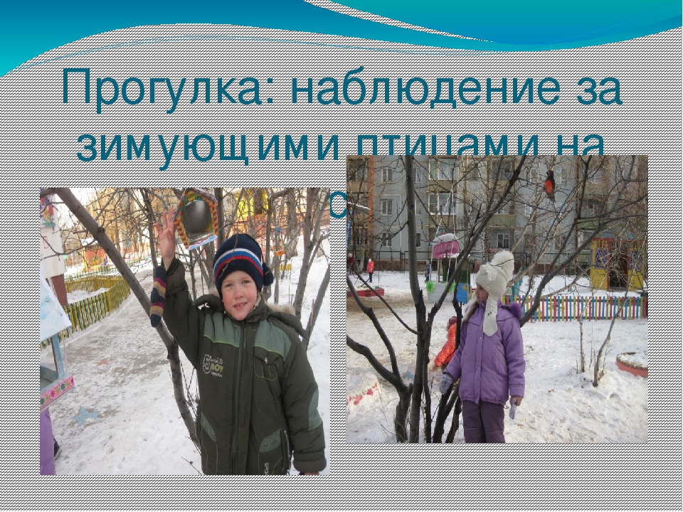 Презентация проекта "Наши друзья - зимующие птицы"