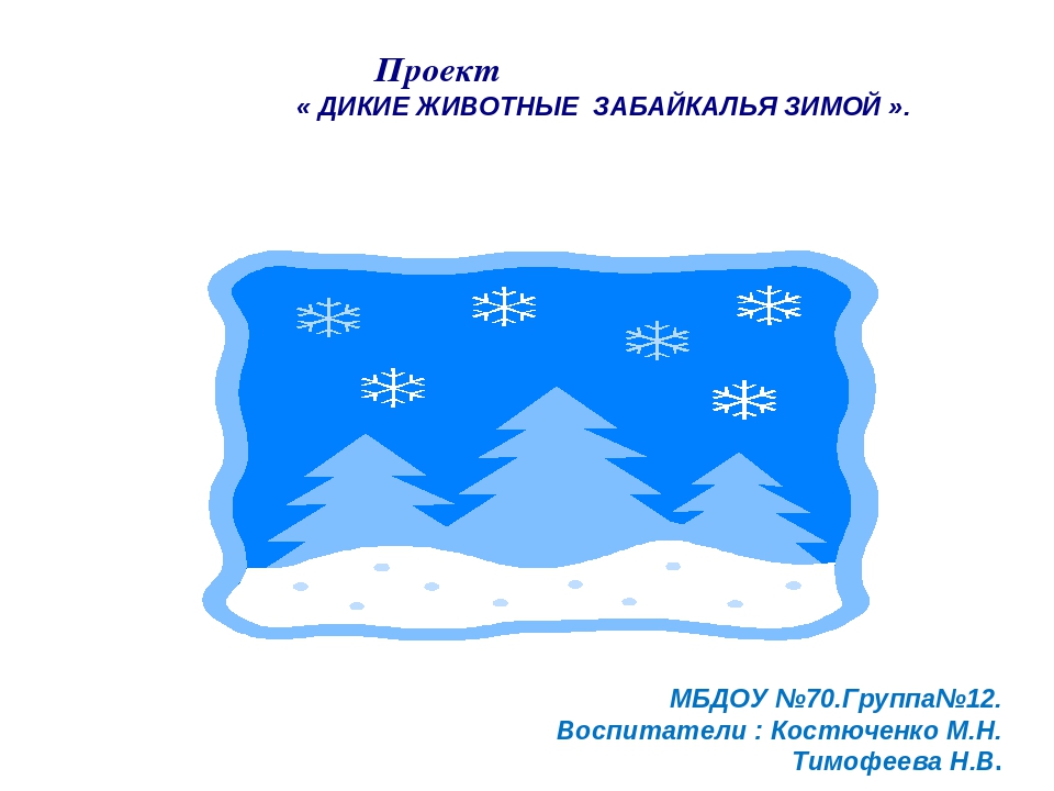 Презентация проекта "Дикие животные Забайкальского края"